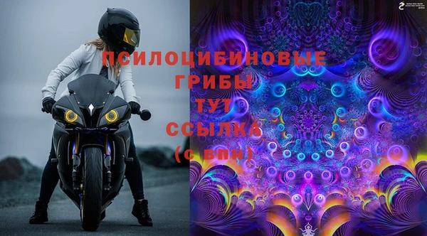 шишки Алексеевка