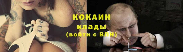 молекула духа Алексин