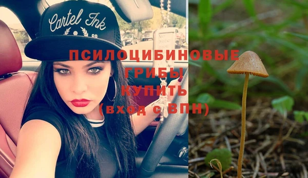 герыч Алзамай