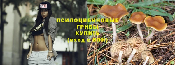 герыч Алзамай