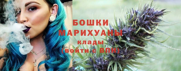 шишки Алексеевка