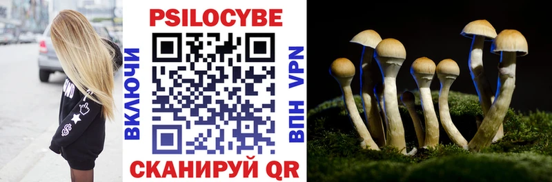 гидра как зайти  Уссурийск  Галлюциногенные грибы Psilocybe 